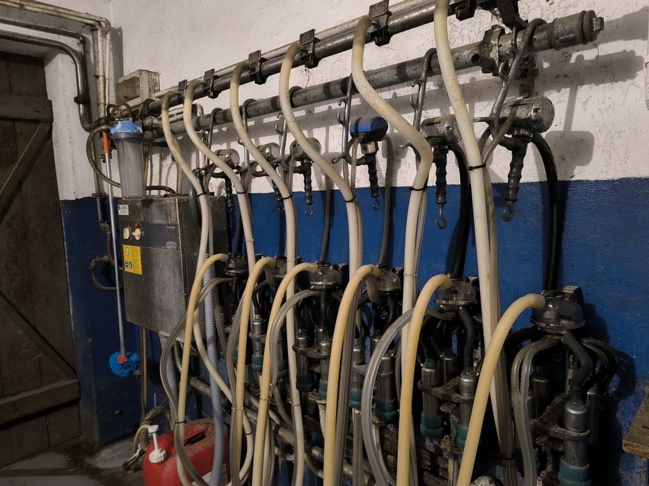 Dojarka przewodowa Westfalia gea