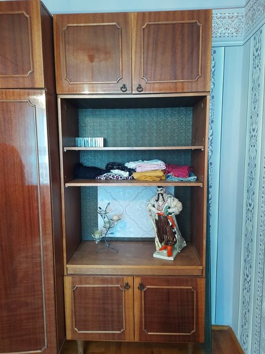 Велика кімнатна стінка