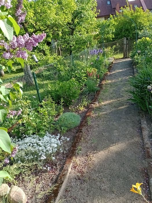 Ogród działkowy Rod