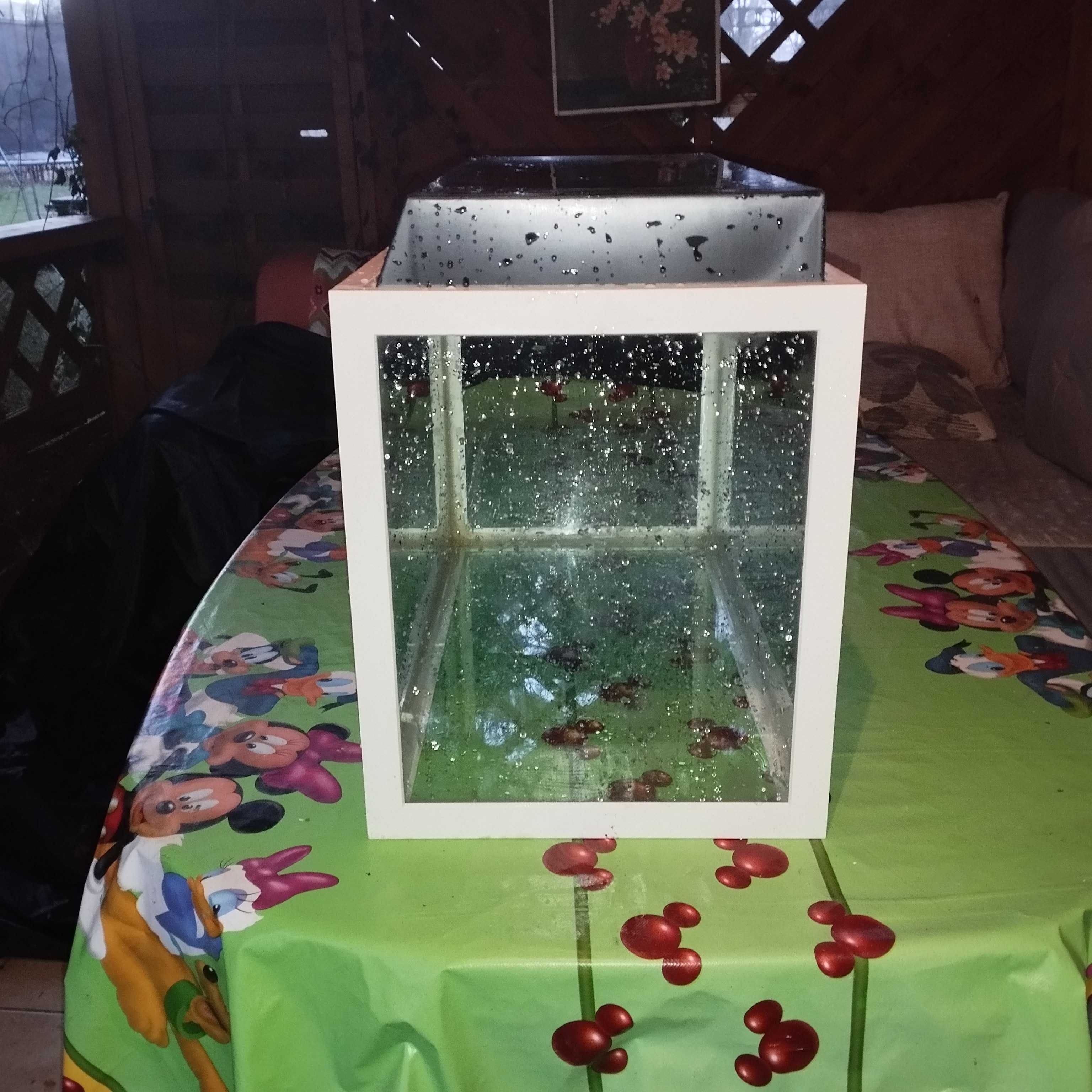 Akwarium 61x38x32 + pokrywa dużo modeli w ofercie