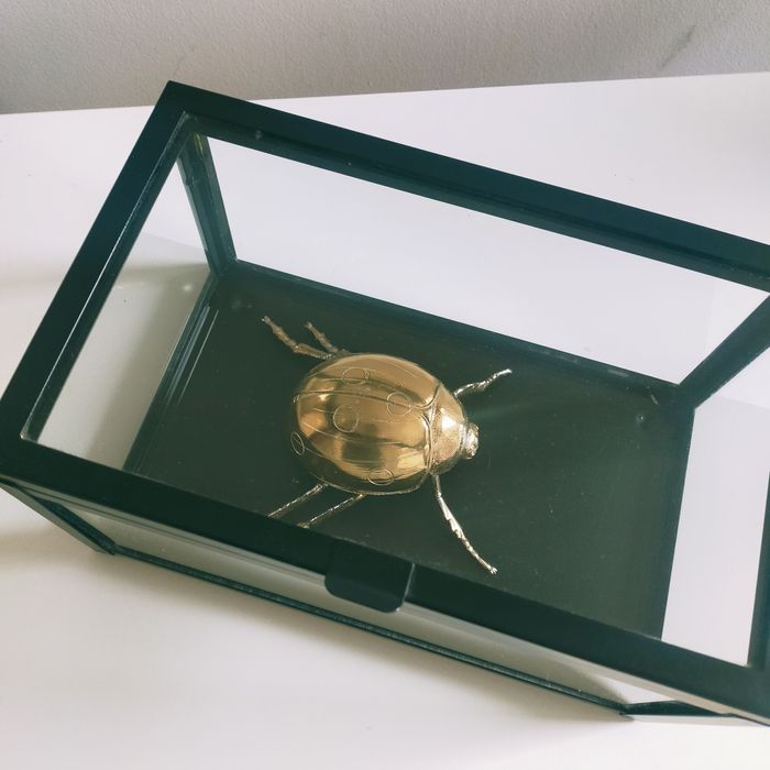 Dekoracja szklana gablotka