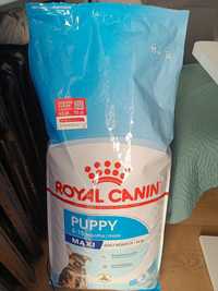 Karma dla pasa royal canin