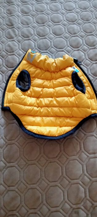 Одежда для маленьких собак