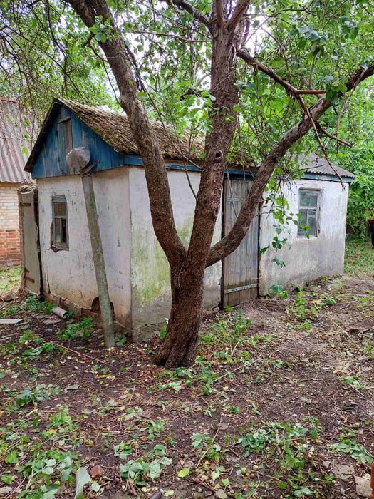 Продам Дом 60 м2 село БОРКИ 6300у.е  рядом Птицефабрика