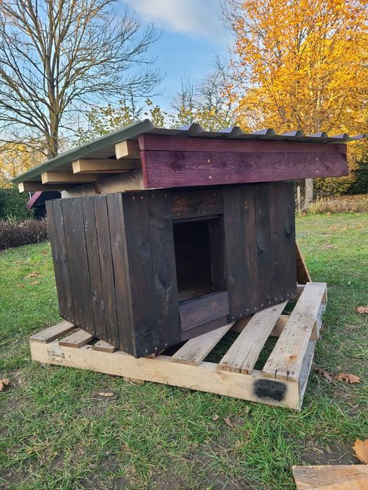 Oddam budy TYLKO dla psów mieszkańcom Gminy Raczki