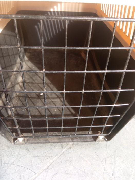 Transportadora de animais