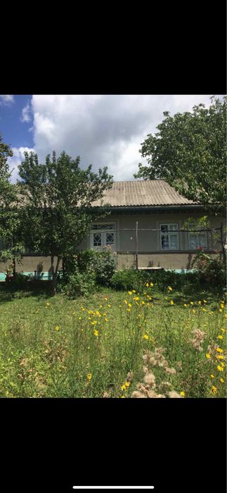 Будинок з господарством Малий Кучурів