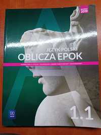 Język polski Oblicza Epok 1.1 WSiP