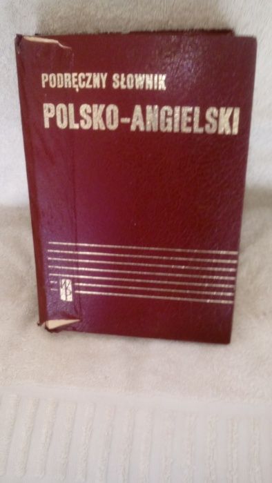 Podręczny słownik angielsko-polski