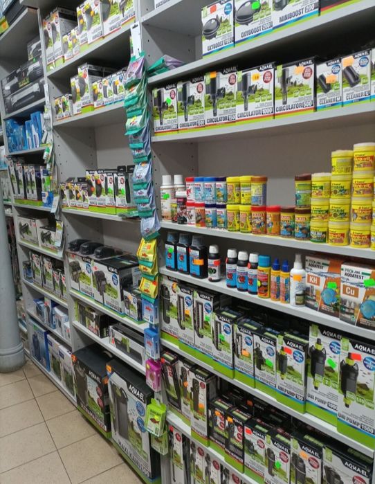 Ślimak Onion - TINA ZOO Gliwice Witkiewicza