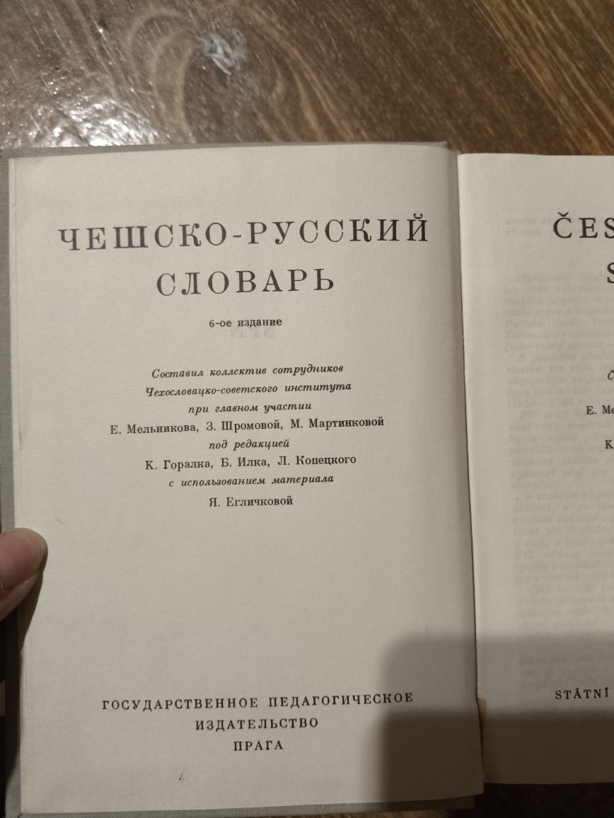 Чешский переводчик.Чешско-русский словарь.Чешско-русский переводчик