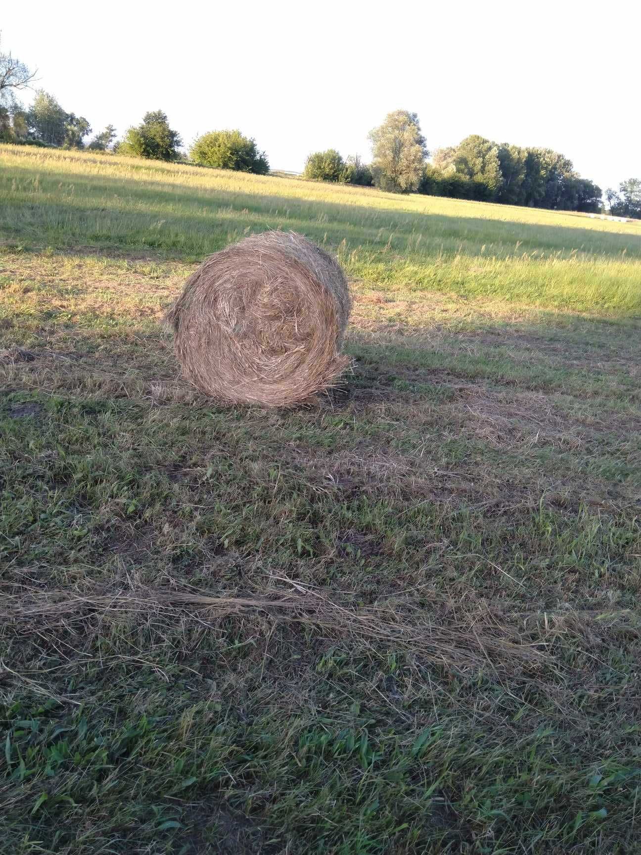 Siano / Słoma / Baloty