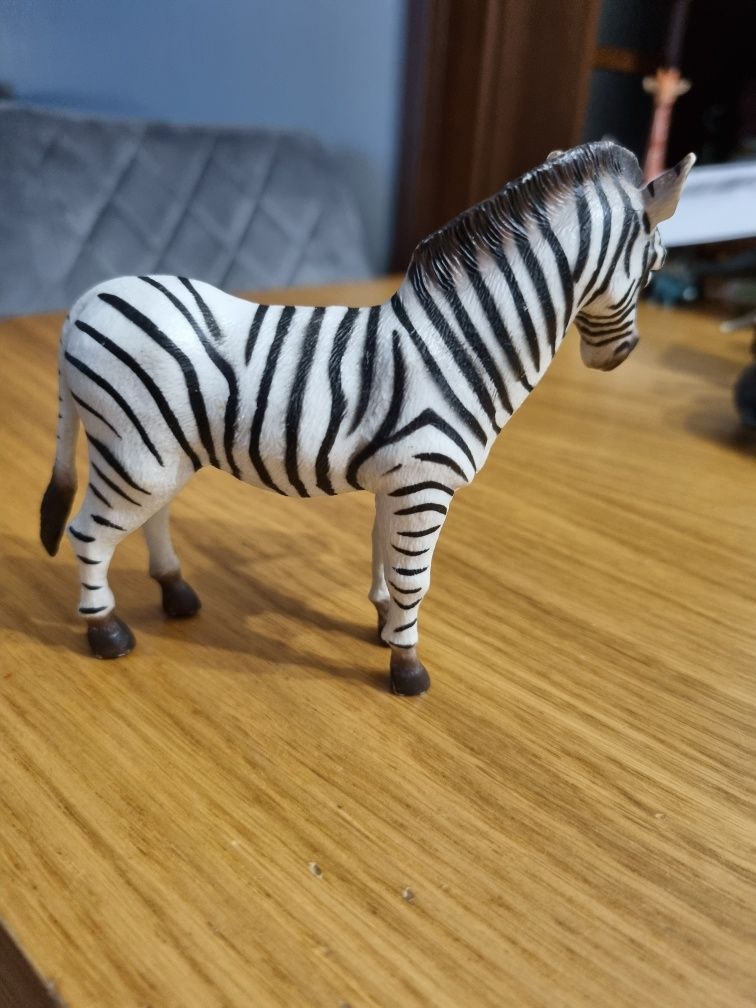 Zebra procon collecta figurka
