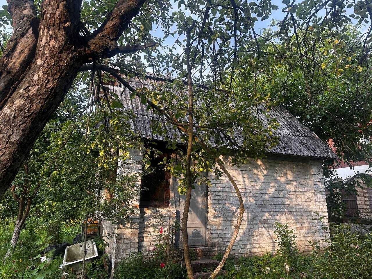 Берківці (Нивки) продаж старого будинку з ділянкою (район Лавіни)