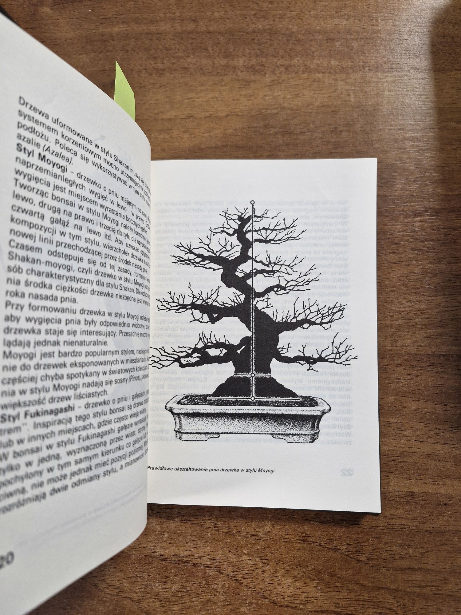 A2273. "Bonsai" Andrzej Płochocki