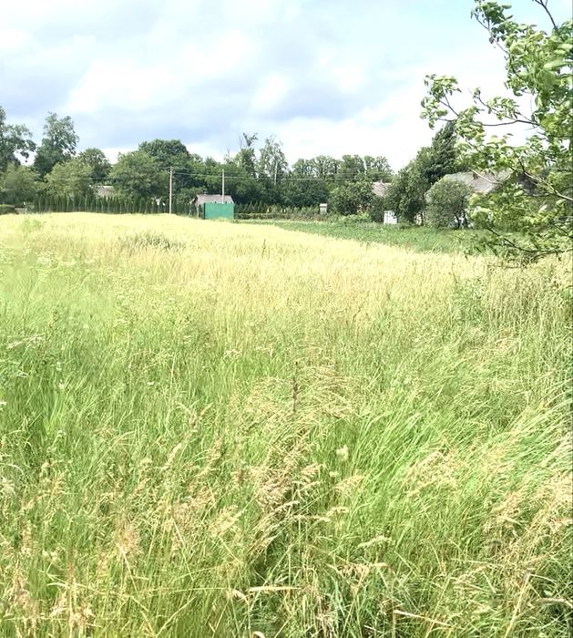 $ Продаж земельної ділянки в с. Грушвиця Друга