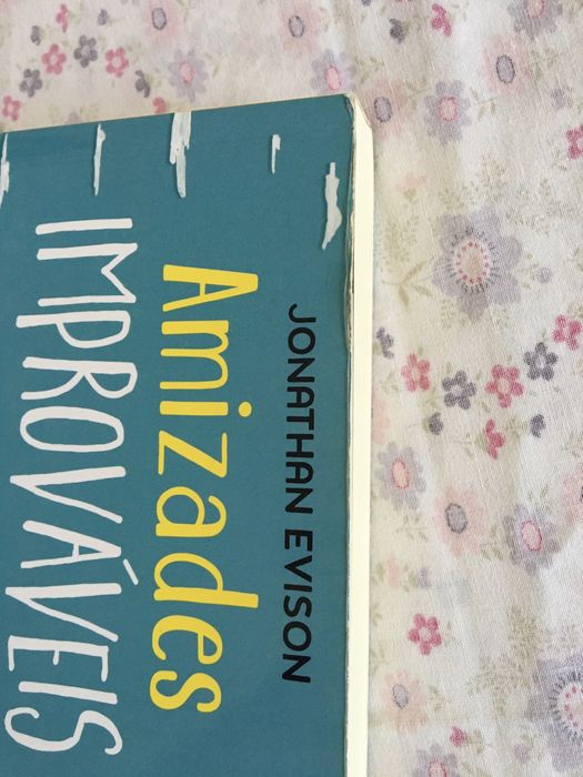 Livro Amizades Improváveis de Jonathan Evison - portes incluídos