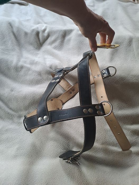 Шлея кожа (для великих собак)