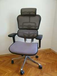 Fotel biurowy Ergohuman Plus BT (KMD30) szary  krzesło biurowe