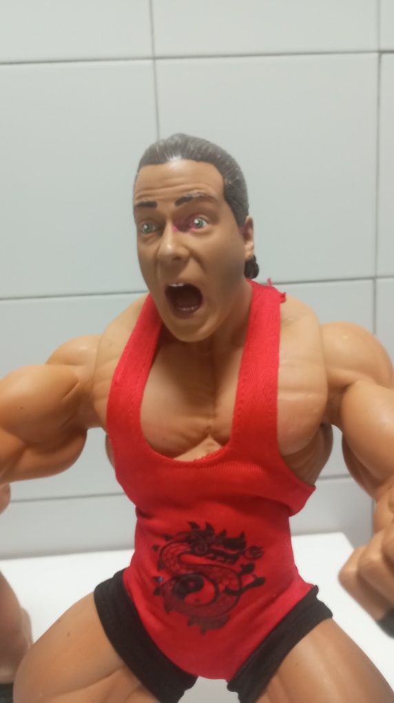 Boneco/Figura de Ação 2005 JAKKS Pacific Vivid WWE ROB VAN DAM (RARO)