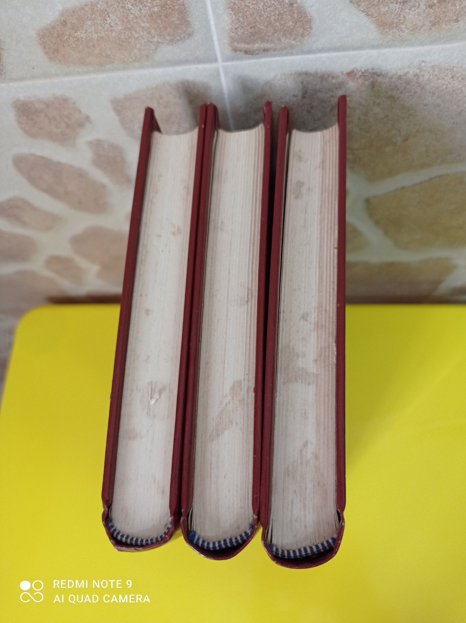 Livro O Médico Familiar