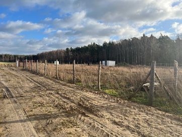 Urokliwa działka pod lasem z projektem domu i pozwoleniem na budowę!