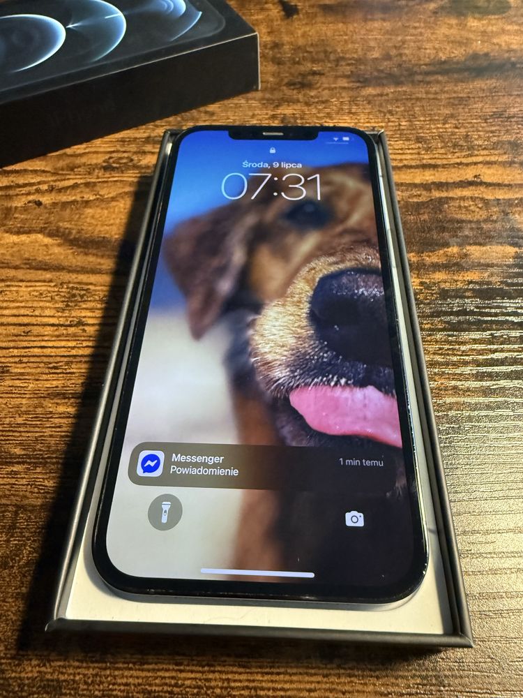 Iphone 12 pro max 256Gb pacific blue dużo dodatków Polecam!