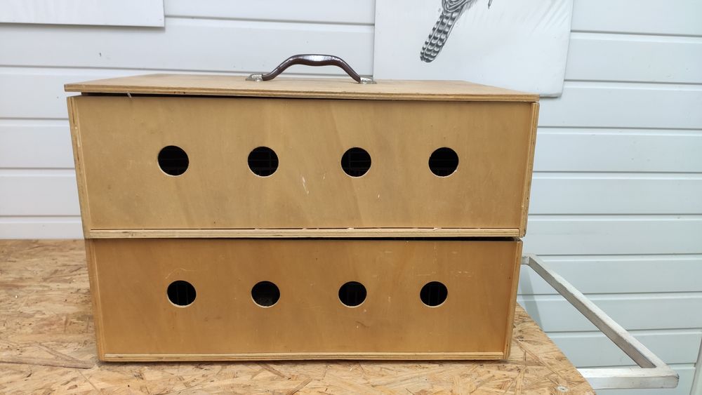 Transportadoras aves canários exóticos priquitos