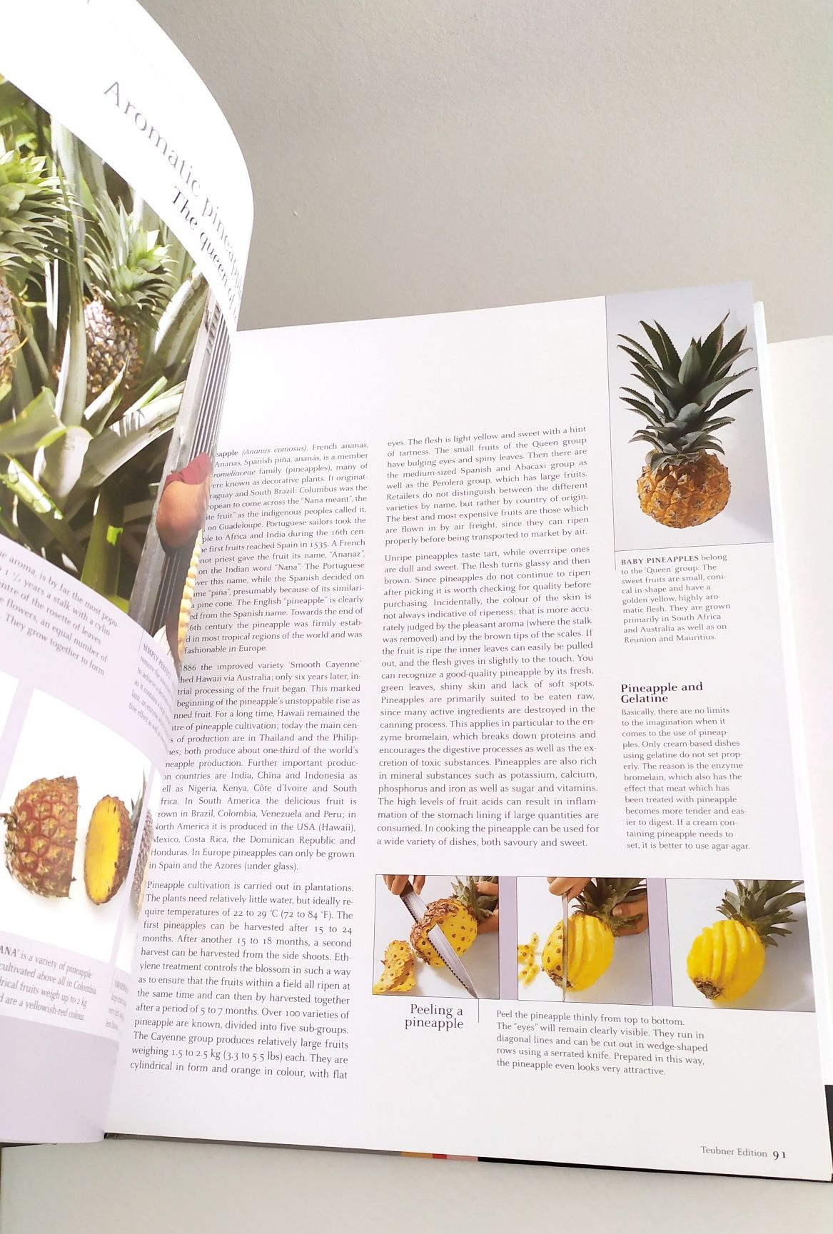 ENGLISH Book Fruit and Vegetables Христиан Тойбнер Фрукты Овощи Травы