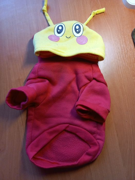 Худі для маленької собачки