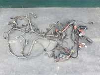 Wiazka Instalacja Silnika 3.0 ASN V6 Europa Automat Audi A4 B6 Gaz Stag