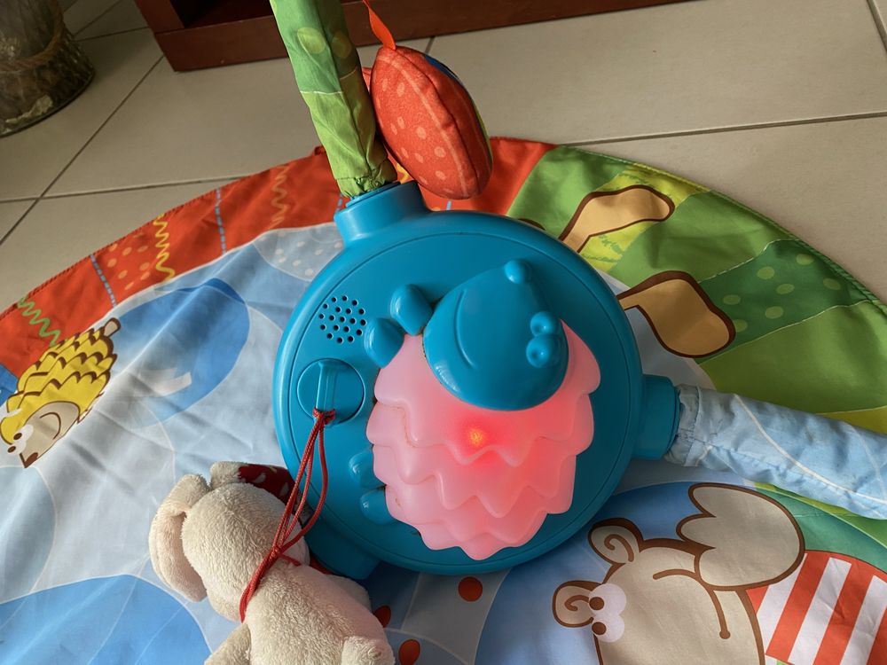 Ginásio brinquedo para bebes