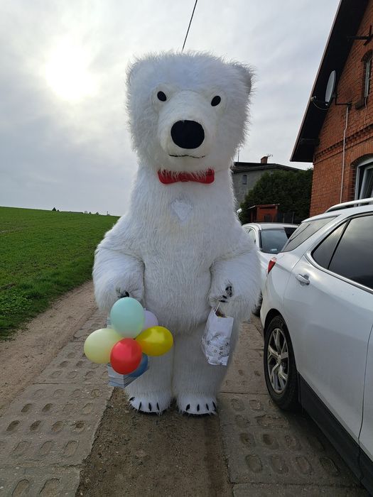 Biały miś. Booba.  Wesele,  święta, uroczystośc