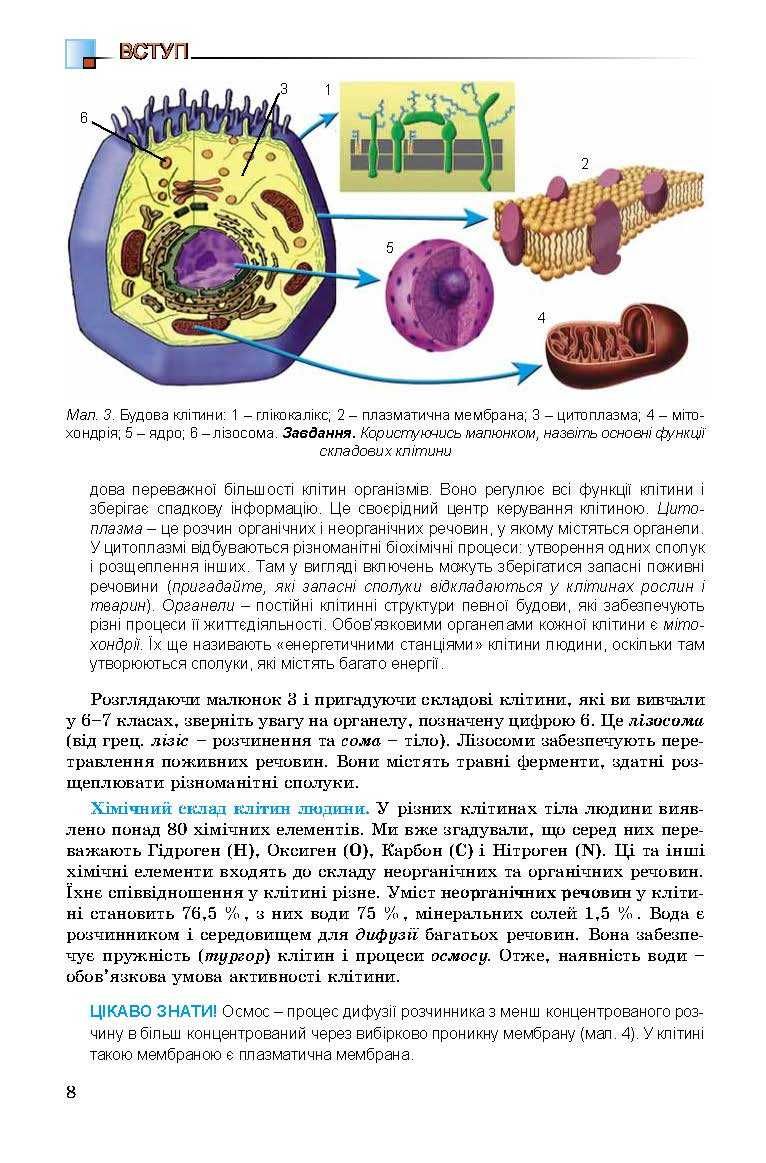 Підручник Біологія Н. Матяш, 8 клас 2016р