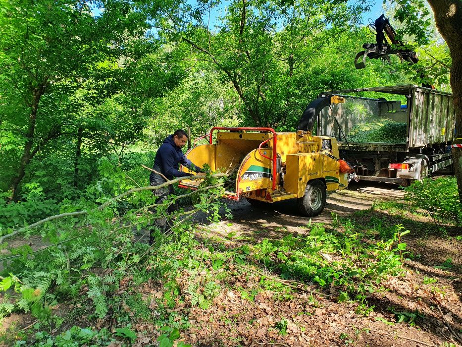 Wycinanie drzew, frezowanie pni, podnośnik koszowy, czyszczenie działe
