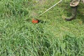 Покосим траву. Скос травы. Покос травы. Уборка участка. Спил деревьев.