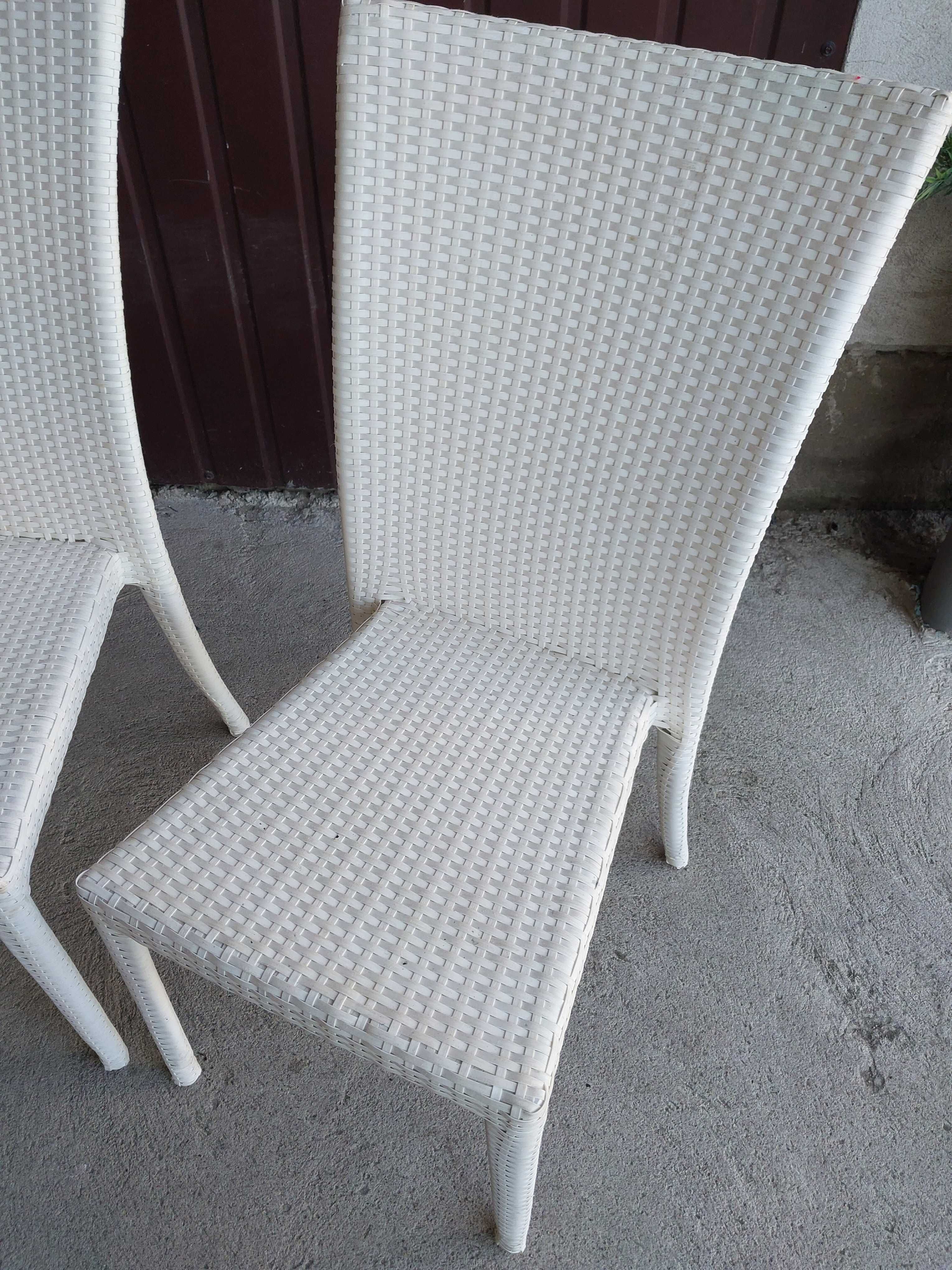 krzesła plastikowe  / 256