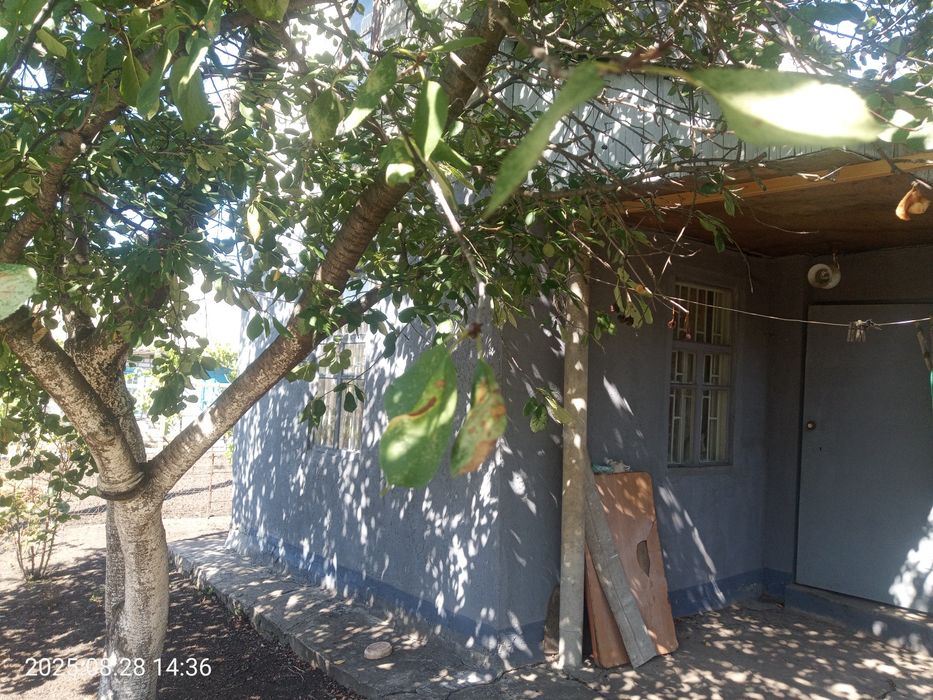 Продам дачу біля зупинки Тернуватий Кут в межах міста 44кв, Рокувата