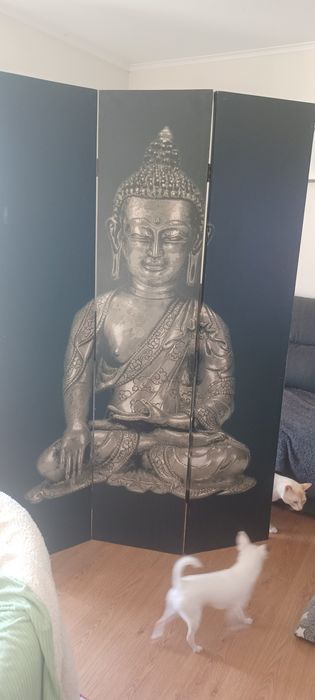 Vendo lindo biombo de decoração peça única