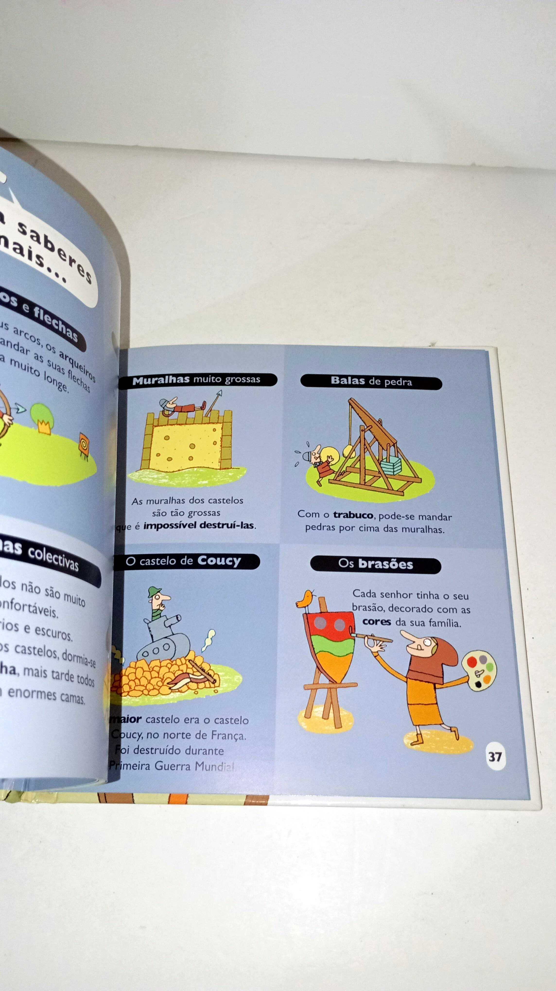 Cavaleiros e Castelos - A Minha Pequena Enciclopédia Larousse