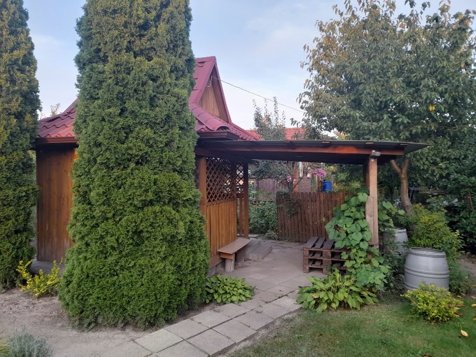 Działka ROD Szarotka