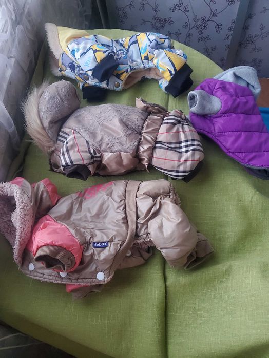 Зимовий комбінезон для малих собак (міні Йорк, чіхуа) / зимова куртка