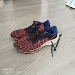Кросівки nike pegasus