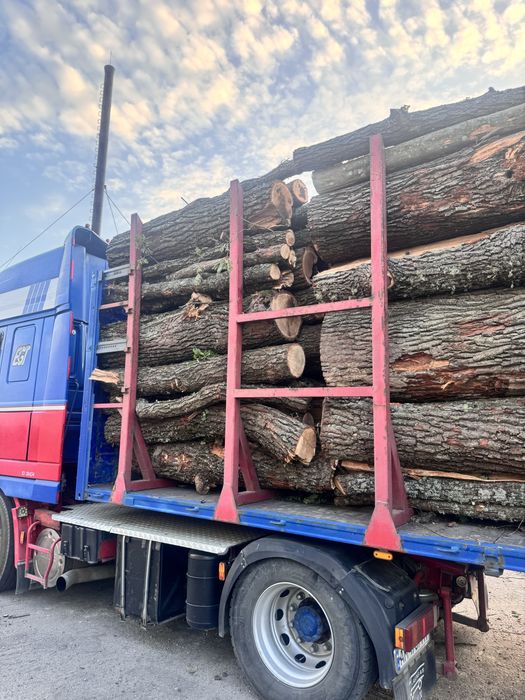 Дрова різних порід,рубані і не рубані