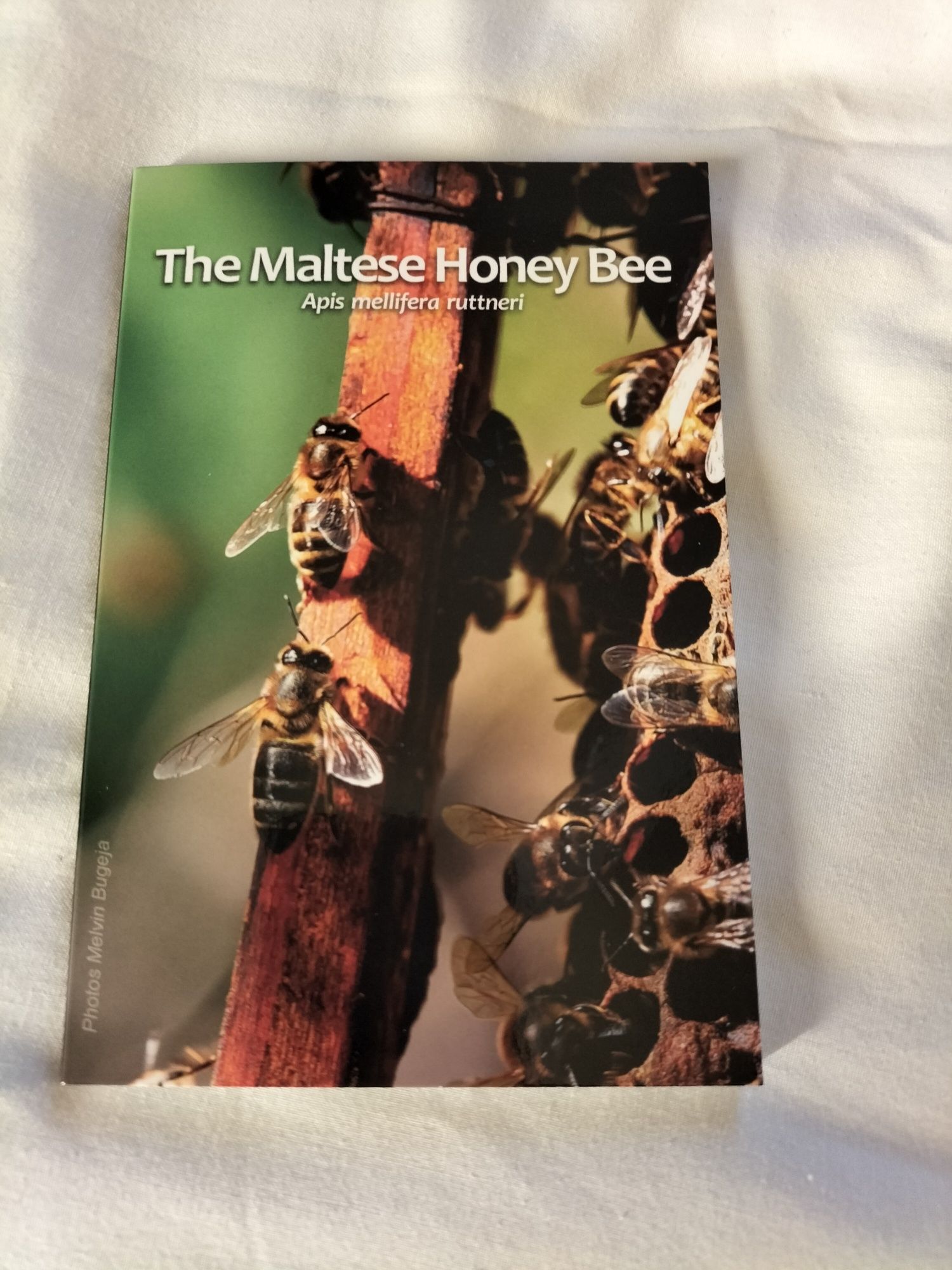 Moeda comemorativa Malta 2024