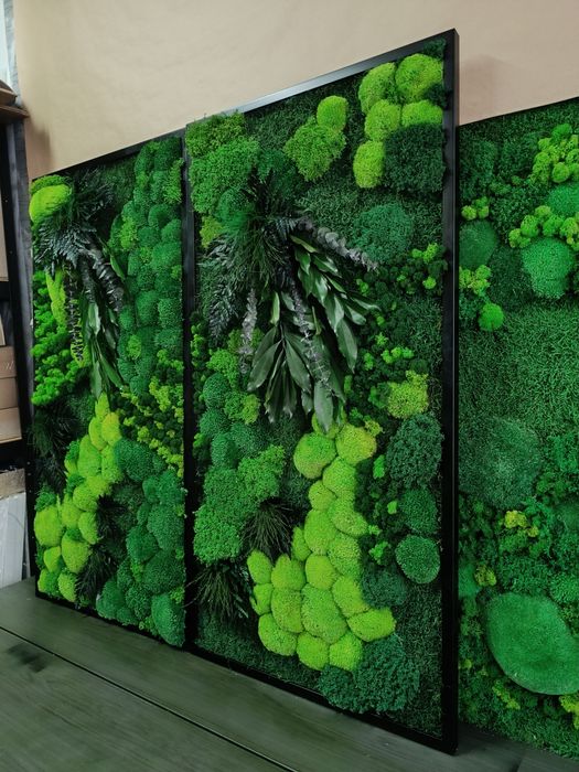 Картина с Мхом. Стабілізований Мох Картина