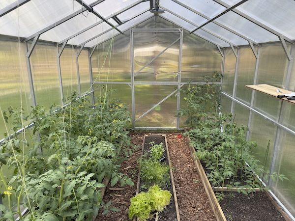 Szklarnia z poliwęglanu DOMEK 2,5x4-12m profile 25x25 POLIWĘGLAN 4-6mm