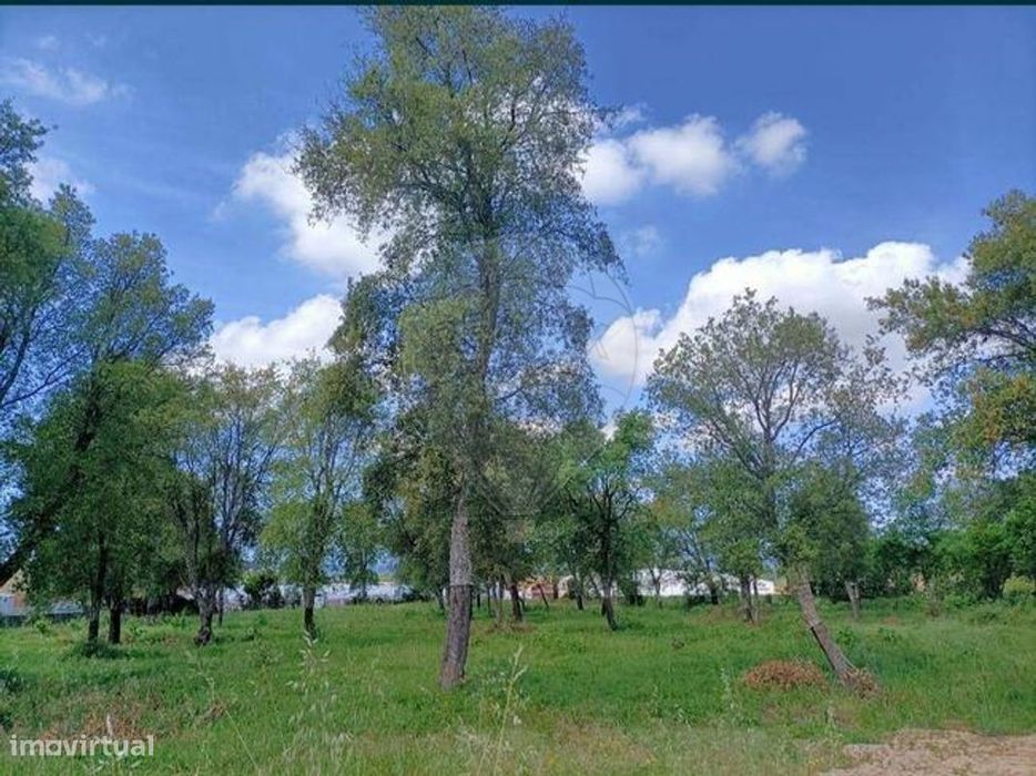 Terreno  para venda