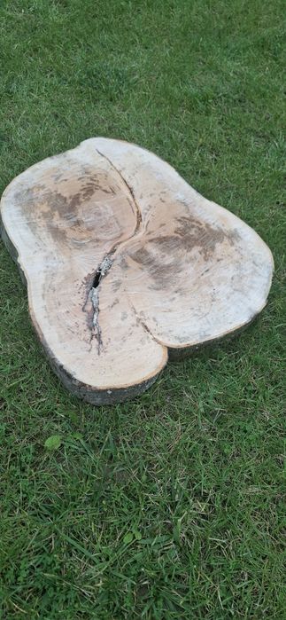 Plastry drewna bukowego