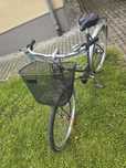 Rower retro damka